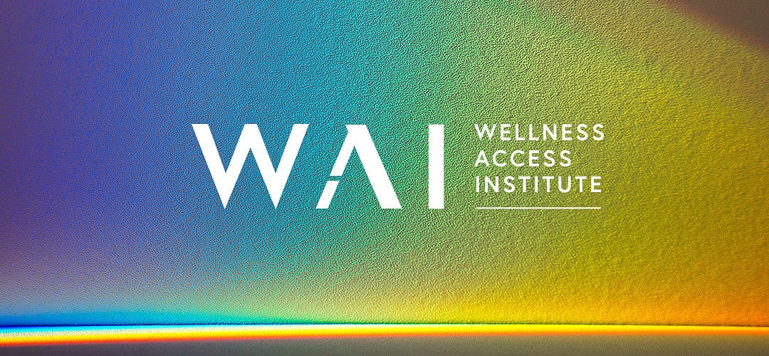 Why We Created WAI